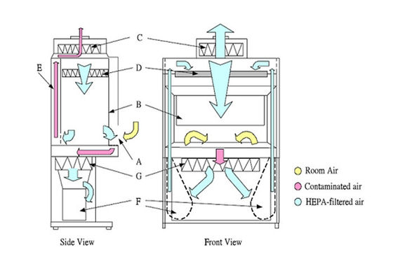 Class 2 Biological Safety Cabinet HEPA ISO 5 class / ULPA ISO 4 class
